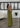 Robe Cassis - Olive