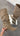 Bottes Paola - Beige
