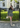 Combishort gaze - Kaki