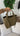 Sac Alma - Olive (précommande)