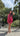 Robe Inès - Bordeaux & Rose