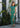 Robe Nora verte